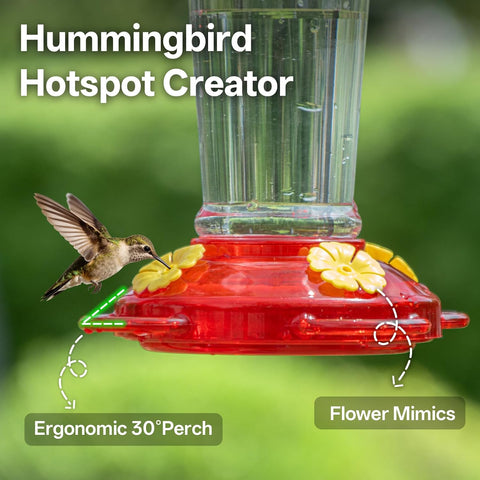 Hummingbird Feeders for Outdoors 2 Pack 14Oz Plastic Ant&Bee Proof