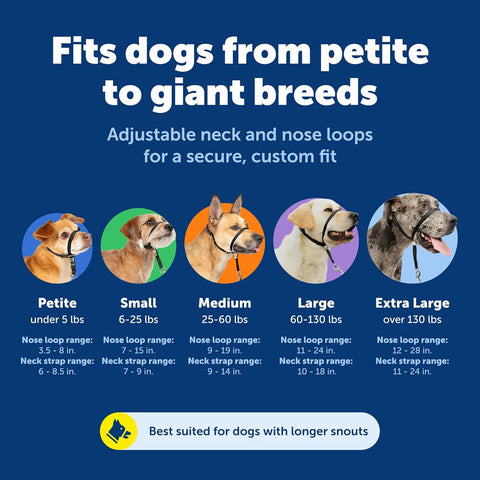 PetSafe Gentle Leader No Pull Dog Headcollar, Royal Blue, Medium