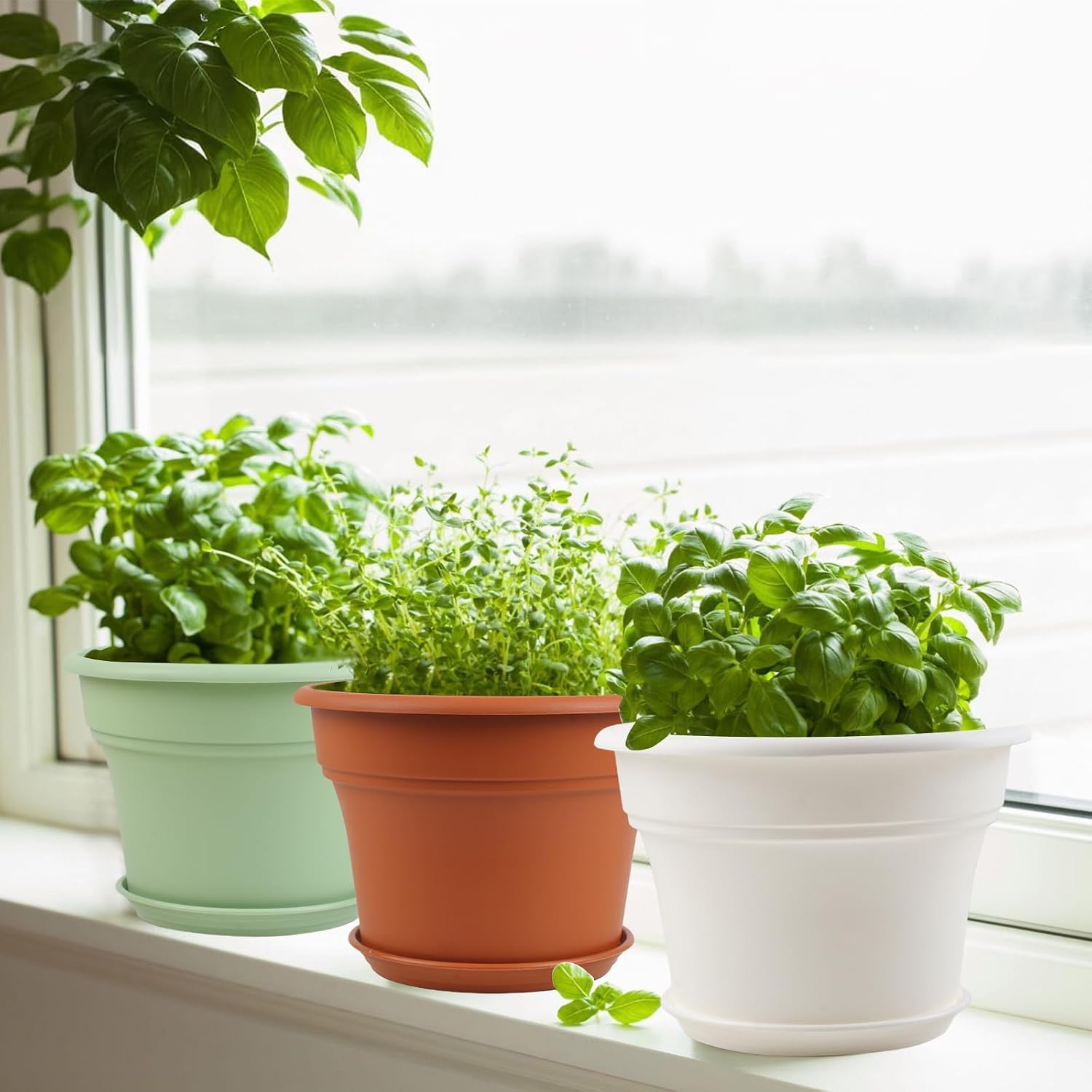 Pottiffe Plant-Pots-Planters-Indoor-Outdoor, 8 inch 4 Pack Terracotta