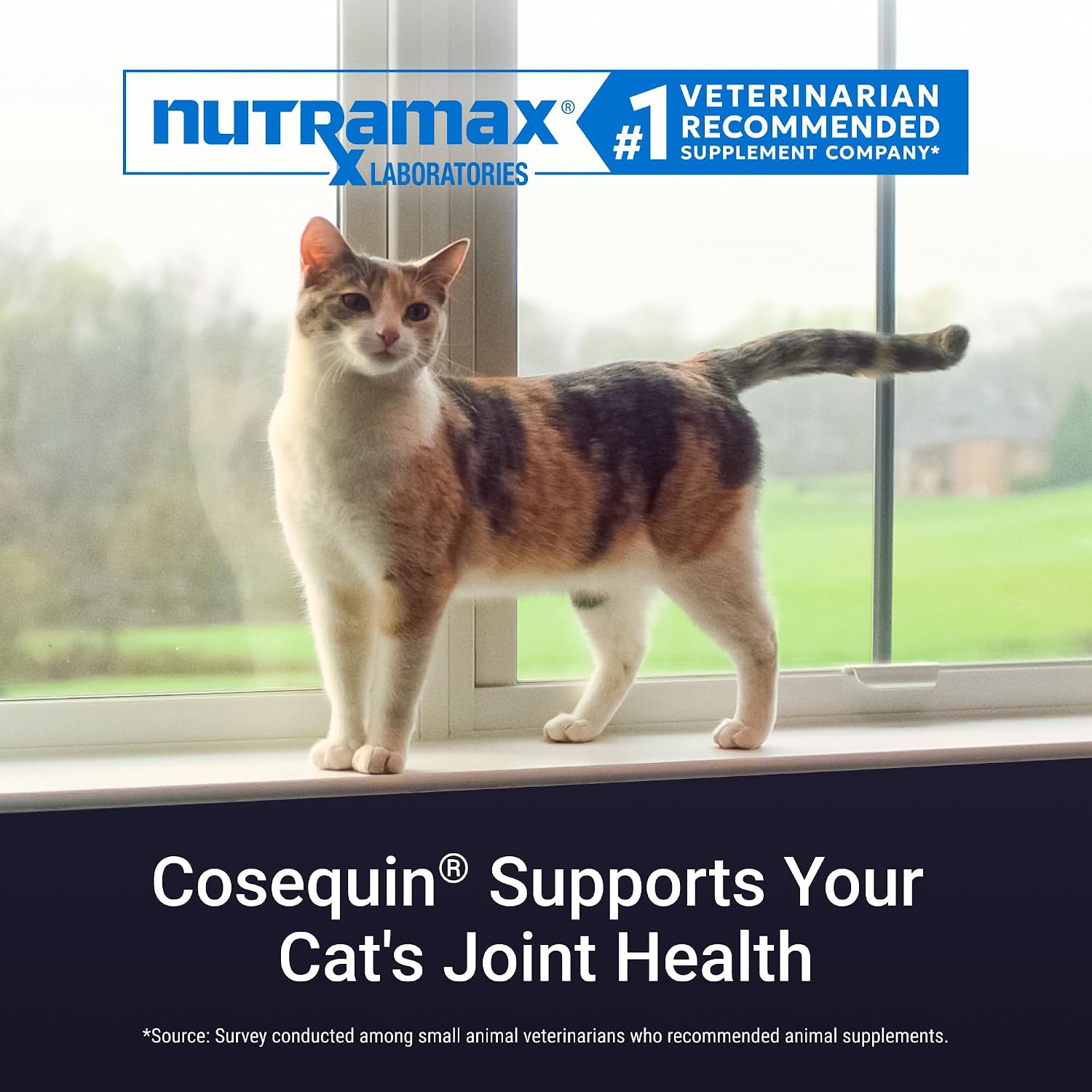 Nutramax Cosequin for Cats Joint Health Supplement, Contains Glucosamine for Cats, Plus Chondroitin, Supports Healthy Joints, for all Breeds and Sizes, Sprinkle Capsules, 30 Count