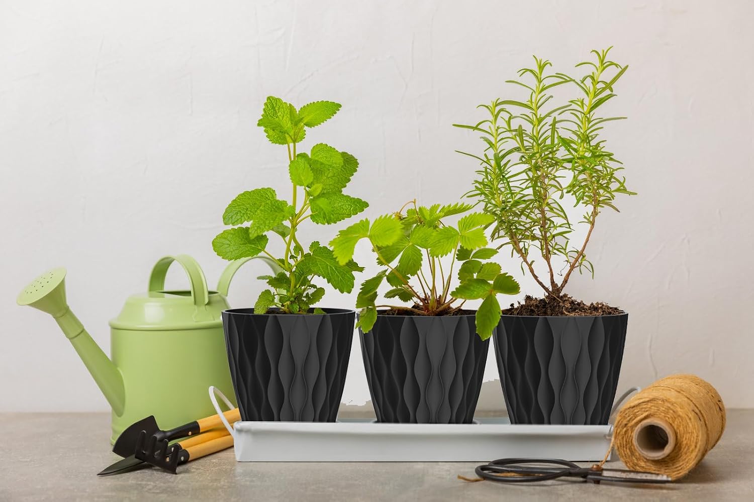 4 Inch Plant Pots, 6 Pack Indoor Flower Pots, Planters with Drainage Holes and Trays for Orchids, Violets, Succulents, Herbs, and Other Plants, Black