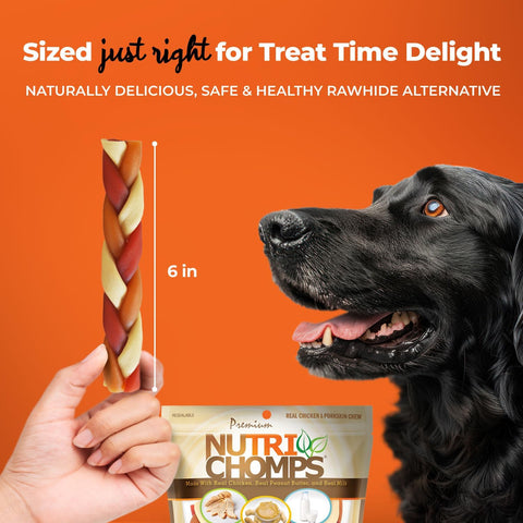 Nutri Chomps Dog Chews, 6-inch Braids, Easy to Digest, Rawhide-Free Dog Treats, Healthy, 10 Count, Real Chicken, Peanut Butter and Milk Flavors (Pack of 12)