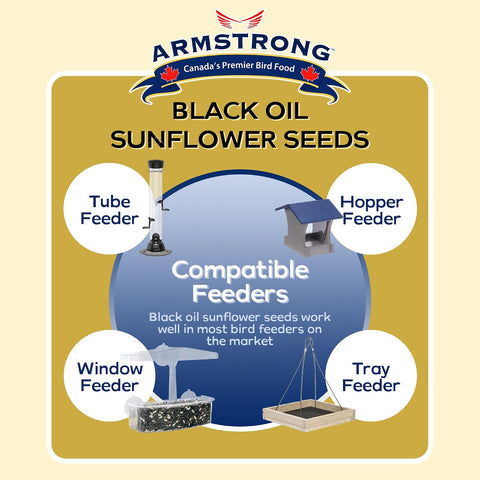 Armstrong Wild Bird Food Black Oil Sunflower Bird Seed, 8 Pounds - for Northern Cardinals, Blue Jays and Hairy Woodpeckers - Ideal for Outside Feeders