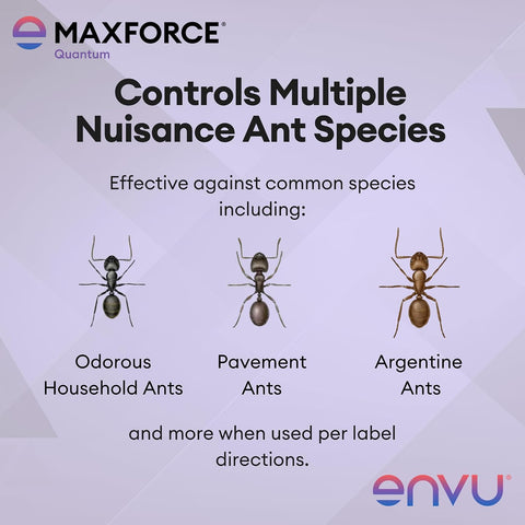 Maxforce Quantum Ant Bait 120 gram Tube | Ant Gel for Indoor and Outdoor Use | Ant Bait for Ant Colony Control | Effective Against Many Nuisance Ant Species
