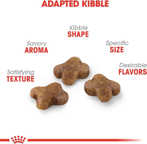 Royal Canin Feline Health Nutrition Dry Kitten Food, Supports Digestive Health, Immune Support and Healthy Energy, 3 lb Bag