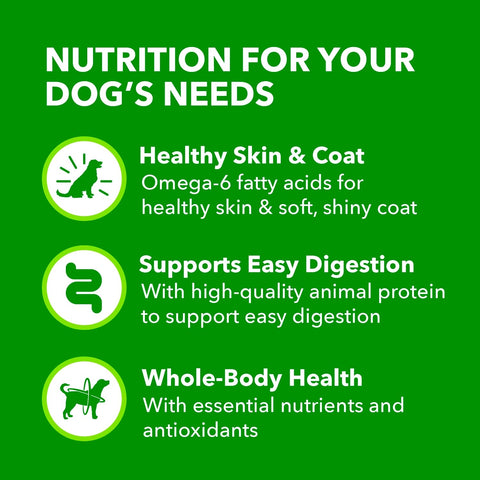 IAMS Proactive Health Ground Wet Dog Food, Chicken, 13 oz, 6-Pack