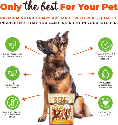 Nutri Chomps Dog Chews, 6-inch Braids, Easy to Digest, Rawhide-Free Dog Treats, Healthy, 10 Count, Real Chicken, Peanut Butter and Milk Flavors (Pack of 12)