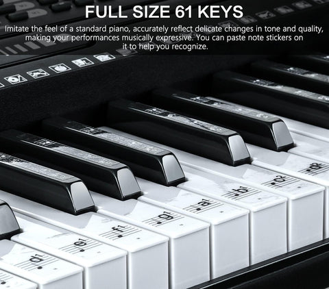 JIKADA 61 Key Portable Electronic Keyboard Piano,3 Teaching Modes