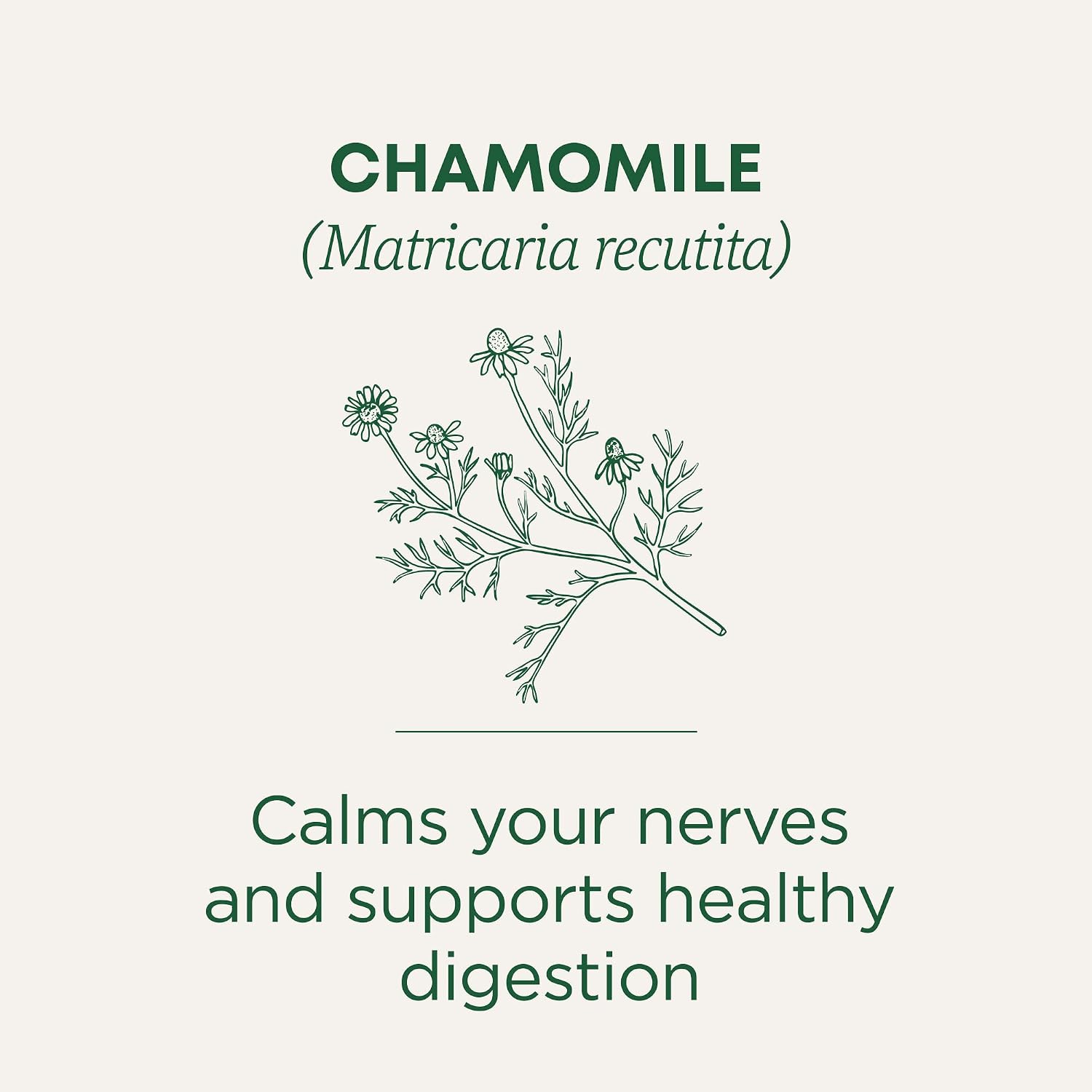 Traditional Medicinals Organic Chamomile, 96 Tea Bags
