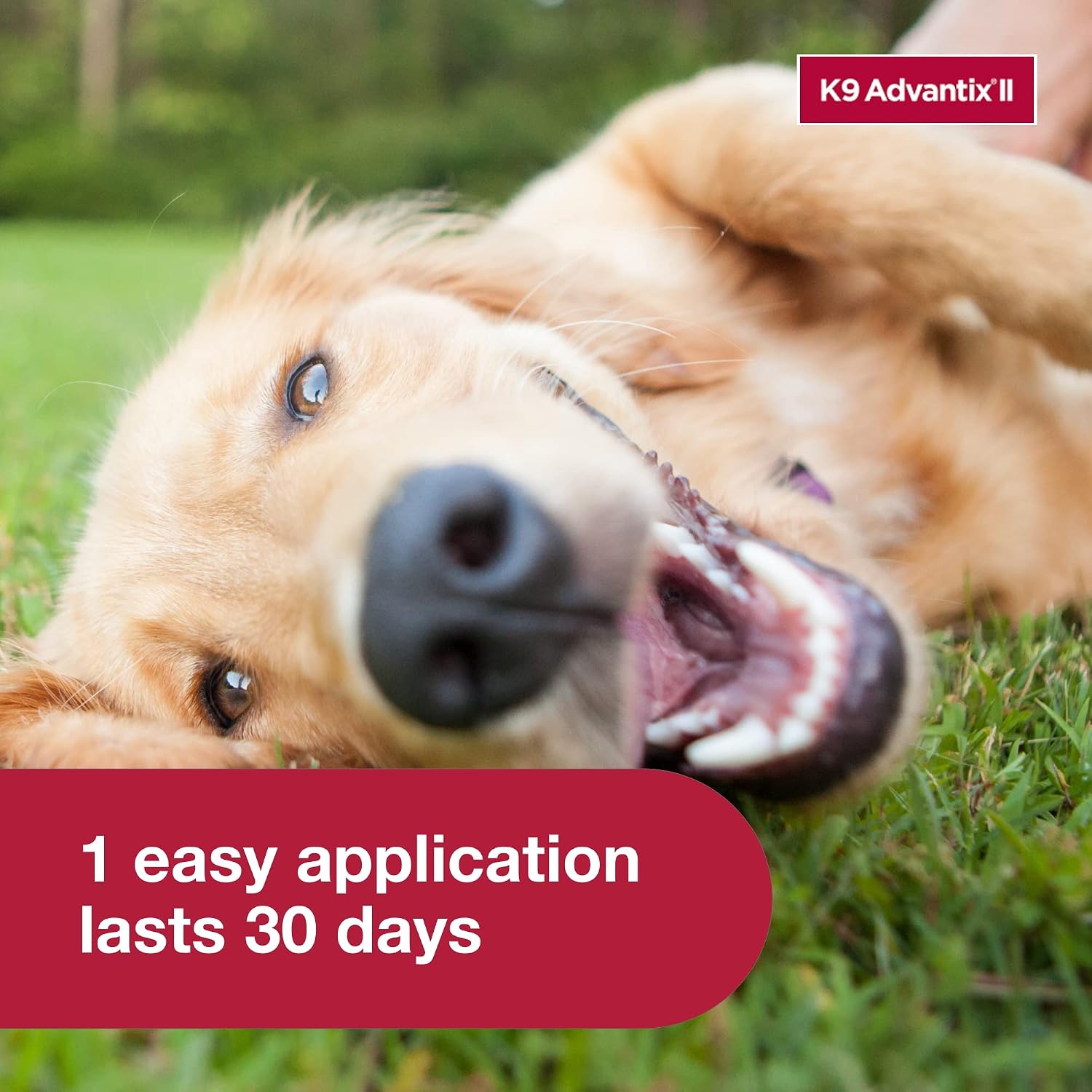 K9 Advantix II Large Dog Vet-Recommended Flea, Tick & Mosquito Treatment & Prevention | Dogs 21-55 lbs. | 2-Mo Supply (Packaging may vary)