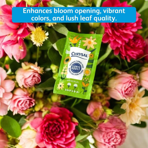 Chrysal Flower Boost – Clear Flower Food Packets for Flower Arrangements & Bouquets – Floral Supplies for Fresh Flowers – Fresh Flower Arrangements Supplies (10g - 100 Ct)