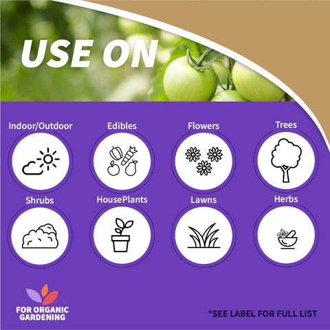 Bonide Captain Jack's Neem Max, 16 oz Concentrated Cold Pressed Neem Oil, Multi-Purpose Insecticide, Fungicide, Miticide, and Nematicide for Organic Gardening
