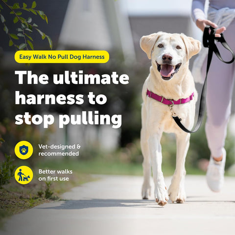 PetSafe Easy Walk Harness, No Pull Dog Harness, Raspberry, Large