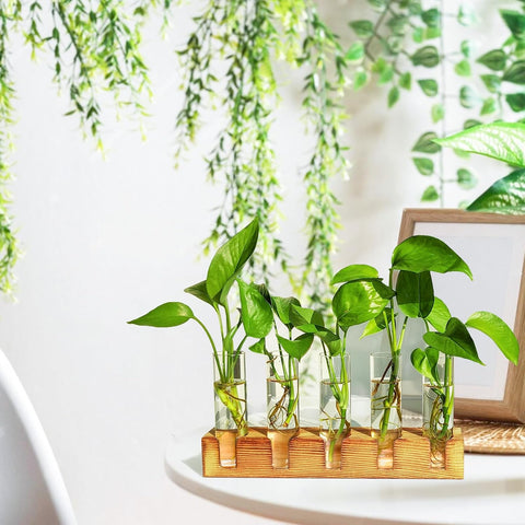 Renmxj Plant Propagation Station, Plant Terrarium with Wooden Stand