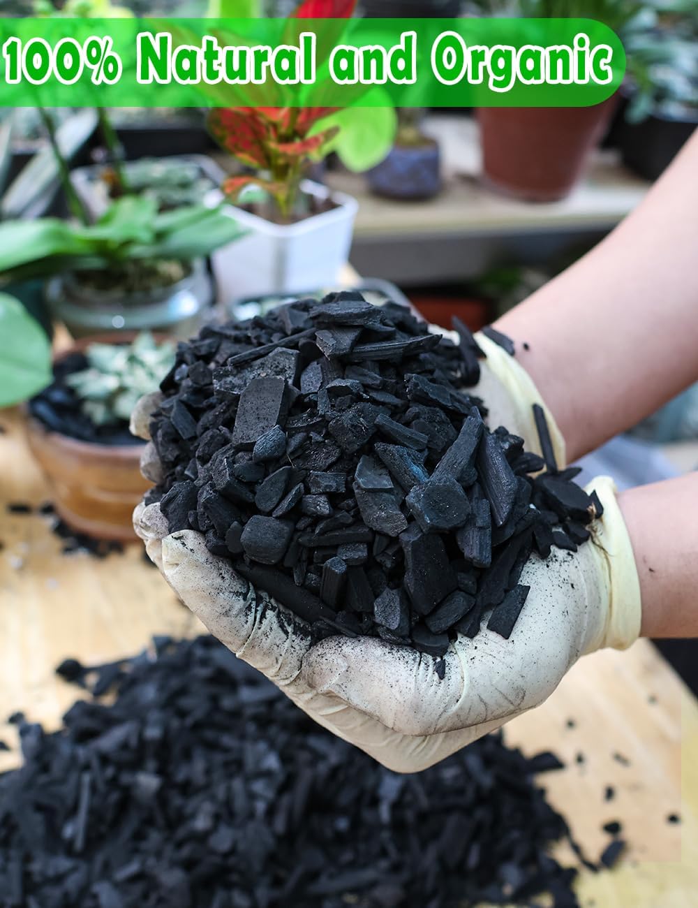 TOYPOPOR Horticultural Charcoal for Indoor Plants (6 Quarts) Hardwood Potting Soil Amendment Helps Improve Drainage for Orchids, Succulent, Cactus, Terrariums, and Gardening