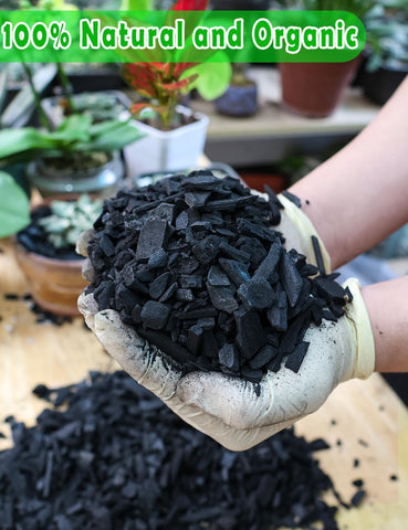 TOYPOPOR Horticultural Charcoal for Indoor Plants (6 Quarts) Hardwood Potting Soil Amendment Helps Improve Drainage for Orchids, Succulent, Cactus, Terrariums, and Gardening