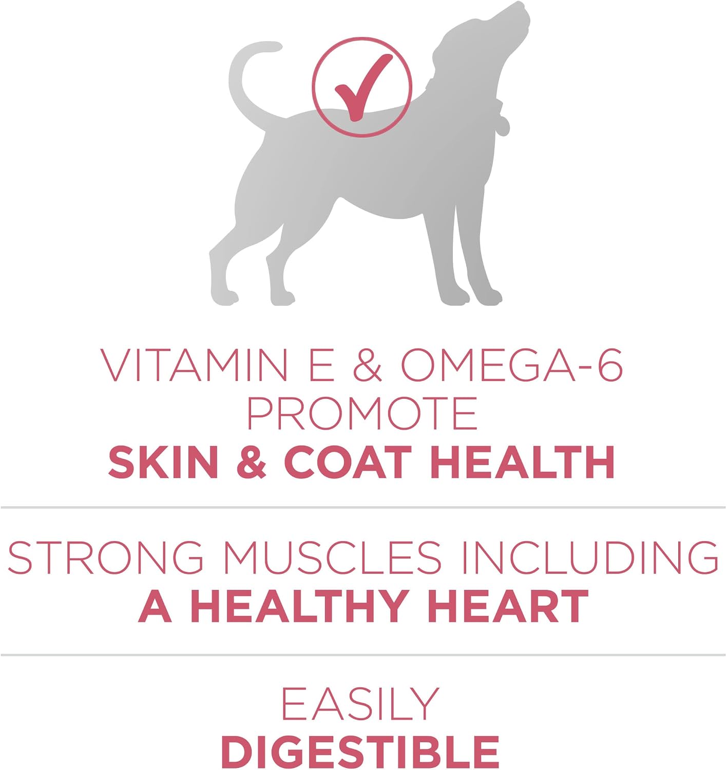 Purina ONE Plus Skin & Coat, Sensitive Stomach Dry Dog Food, 31.1 lb Bag