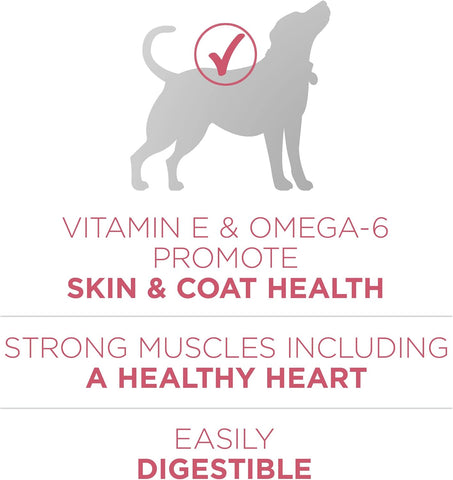 Purina ONE Plus Skin & Coat, Sensitive Stomach Dry Dog Food, 31.1 lb Bag