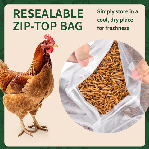 BUNTIE WORMS 10LB Dried Mealworms for Wild Birds and Chicken