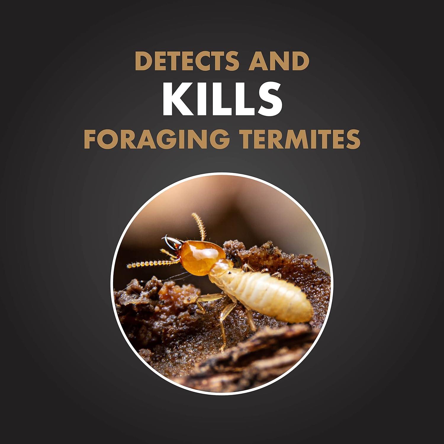 Spectracide Terminate Termite Detection & Killing Replacement Stakes, 5 Ct