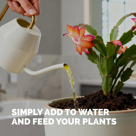 Christmas Cactus Fertilizer - Liquid Plant Food for More Blooms, 32 oz