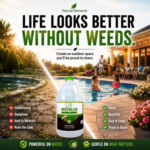 Natural Elements Weed Killer | Pet Safe, Safe Around Children | Natural Herbicide (1 Gallon)