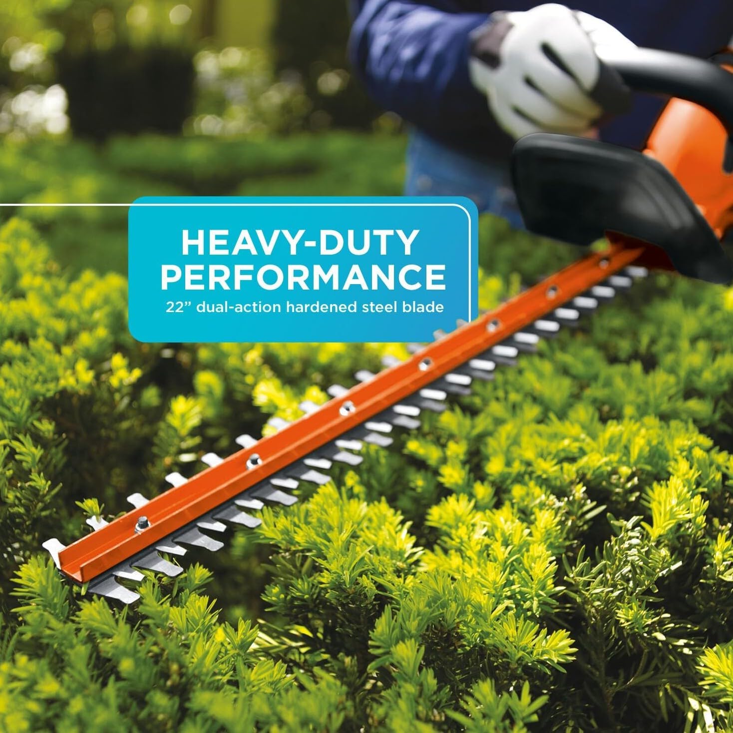 BLACK+DECKER 20V MAX Cordless Hedge Trimmer, Battery and Charger Included, 22 Inch Steel Blade Lightweight Bush Trimmer, Soft Grip, Less Vibration (LHT2220)