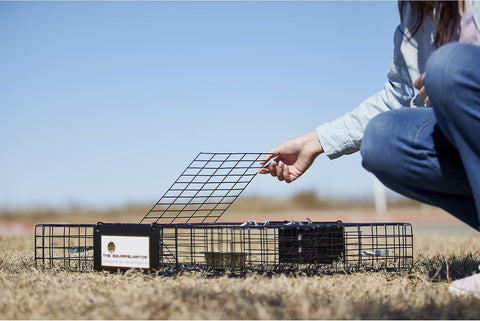 Rugged Ranch 4‑Pack Squirrelinator Multi‑Catch Squirrel Trap with Basin, Wire Cage, 25"x15"x6.5" Each - Live Catch‑and‑Release, 2‑Door Humane Rodent Control, No‑Poison Outdoor Use