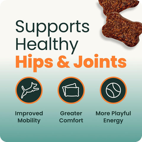 VetriScience Extra Strength Healthy Hip & Joint for Dogs, Chicken, 120ct