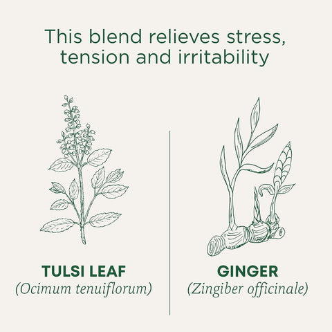 Traditional Medicinals Tea, Organic Tulsi & Ginger, Relieves Stress, Tension, & Irritability, 96 Tea Bags (6 Pack)