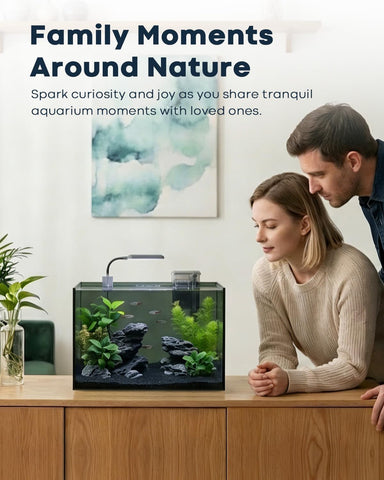 Wonderfactory 5 Gallon Small Aquarium Set Glass Fish Tank 6 Gallon, Starter Kit with Heater Water Pump Cleaning System Filter Bright Light Rocks Gravel Cleaning Tool, Clear Rimless Betta Plants