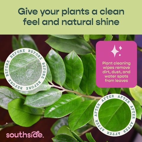 Southside Neem Oil Infused Plant Cleaning Wipes – Unscented Plant-Based Leaf Wipes for Indoor & Outdoor Plants That Protect Plants, Promote Shiny Leaves & Better Photosynthesis, 80 Ct