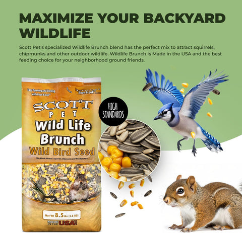 Scott Pet Wild Bird Seed, Wildlife Brunch Blend, 8.5lb, High Protein