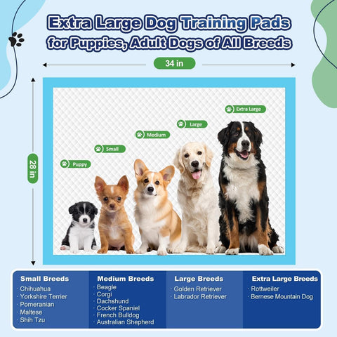 Puppy Pads XL 100 Count, Dog Pee Pads Extra Large, 34"x28" Pee Pads for Dogs, X-Large Disposable Dog Training Pads Super Absorbent&Leak-Proof, Crate Potty Piddle Pads for Doggy, Pet Supplies