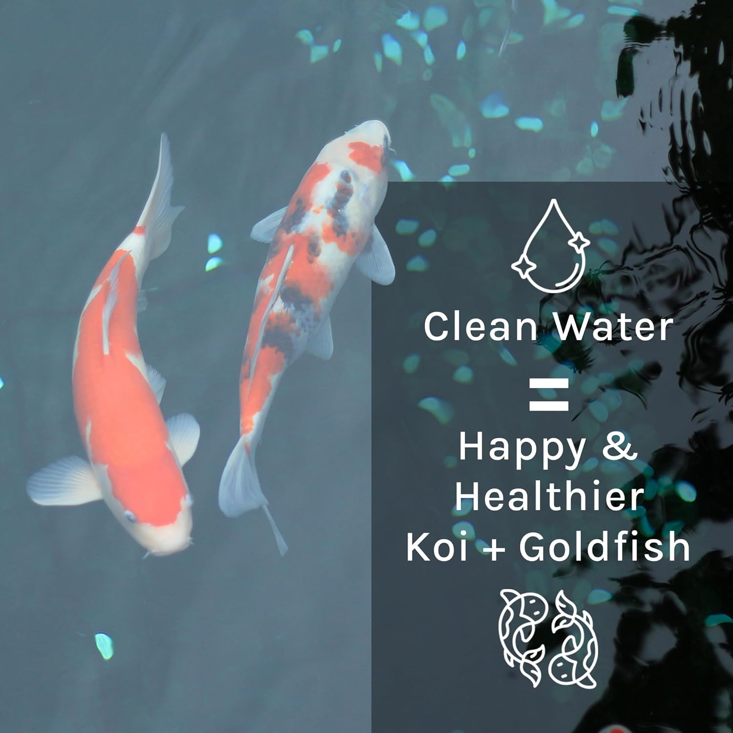 MICROBE-LIFT PL Pond and Outdoor Water Garden Cleaner, Safe for Live Koi Fish, Plant Life, and Decor, 1 Gallon