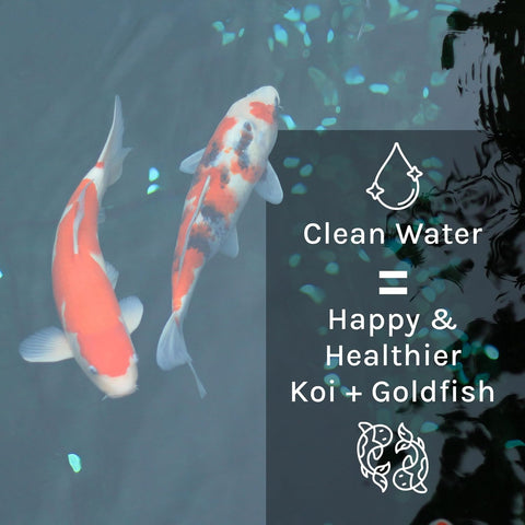 MICROBE-LIFT PL Pond and Outdoor Water Garden Cleaner, Safe for Live Koi Fish, Plant Life, and Decor, 1 Gallon