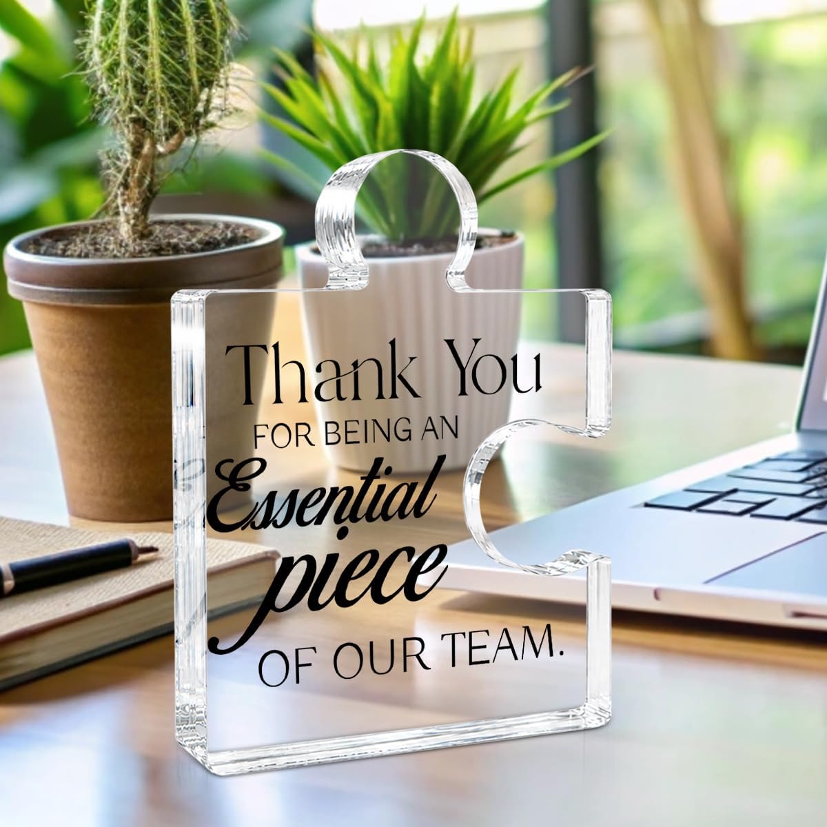 Team Thank You Appreciation Gifts for Employees Coworkers Colleagues