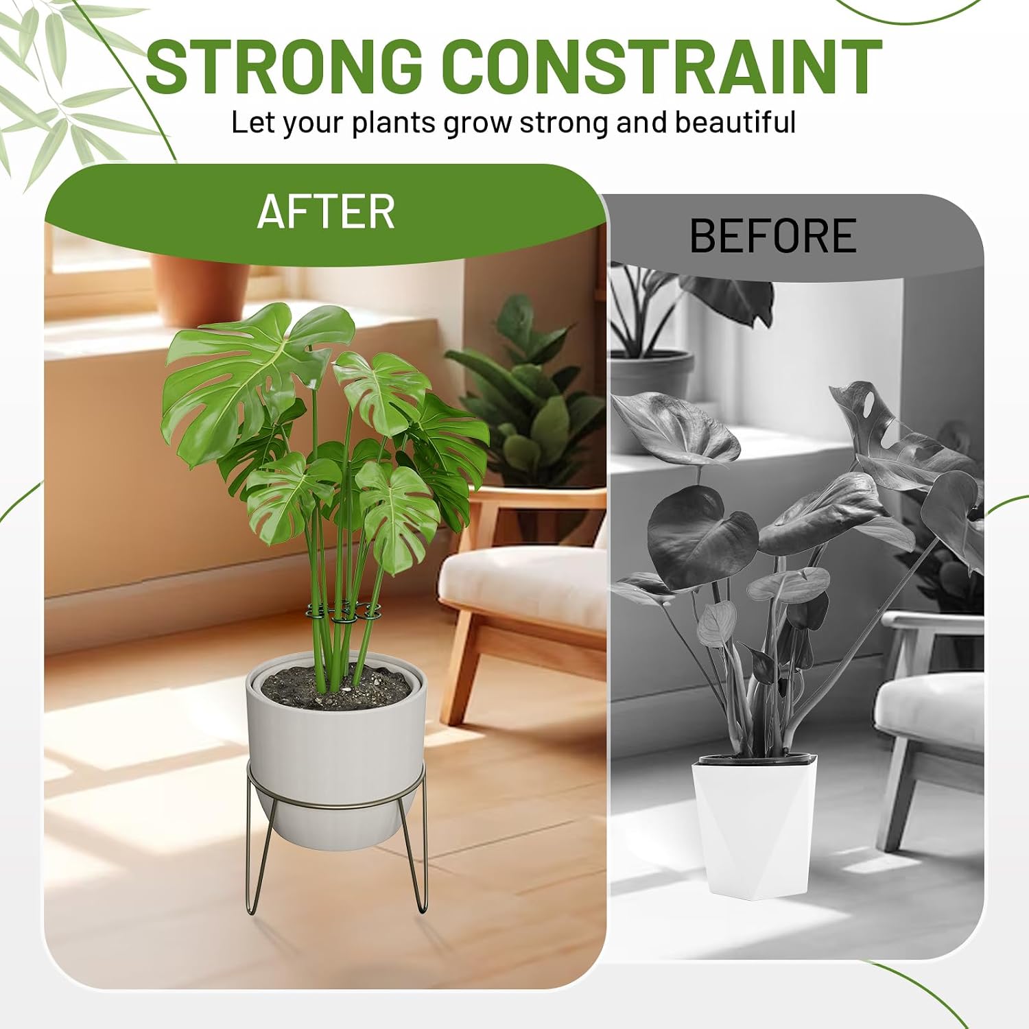 4PCS Green Iron Monstera Support, Uniquely Designed Plant Support Stakes for Indoor Plants, Stable Plant Stakes and Supports, Turtle Shell Bamboo Clamp Set for Thriving Growth