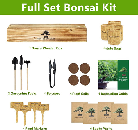 Bonsai Tree Kit, Bonsai Starter Kit with Seeds & Tools, Tree Live Plants Indoor, Gardening Gifts for Women Men Mom Father Plant Lover, Birthday Gifts for Women, Father Day Gifts