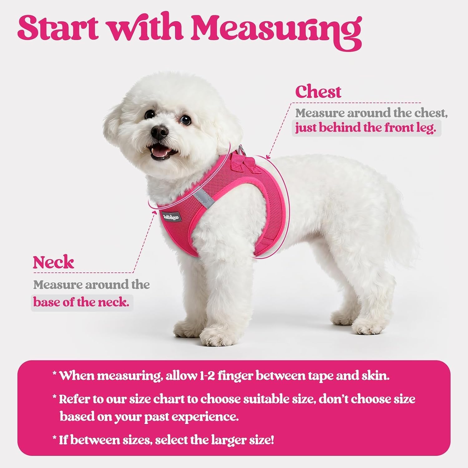 rabbitgoo Dog Harness Small Sized and Leash Set, Step-in Puppy Pet Vest