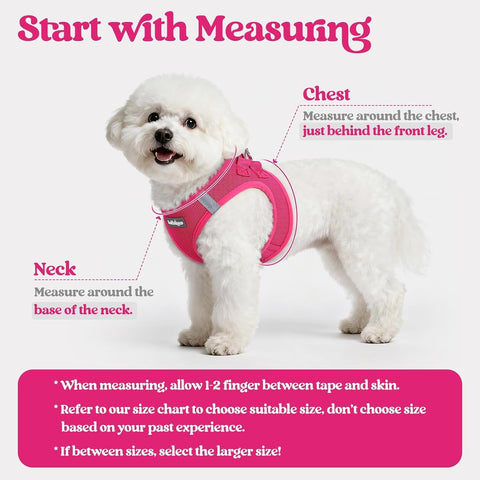 rabbitgoo Dog Harness Small Sized and Leash Set, Step-in Puppy Pet Vest