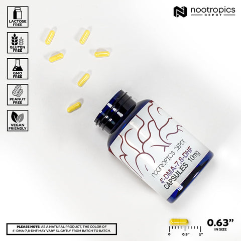 Nootropics Depot 4’-DMA-7,8-DHF Capsules | 10mg | 90 Count | 4'-DMA-7,8-Dihydroxyflavone