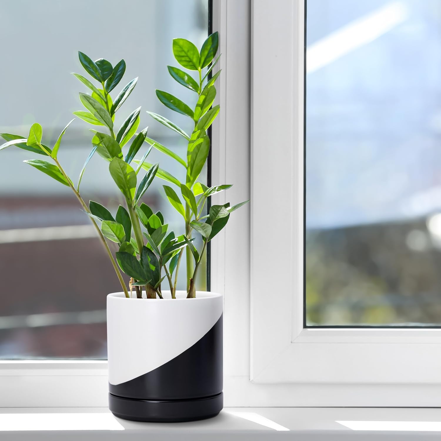 D'vine Dev 6.5 Inch Ceramic Planter Pot, Black White Diagonal, 94-O-C-K