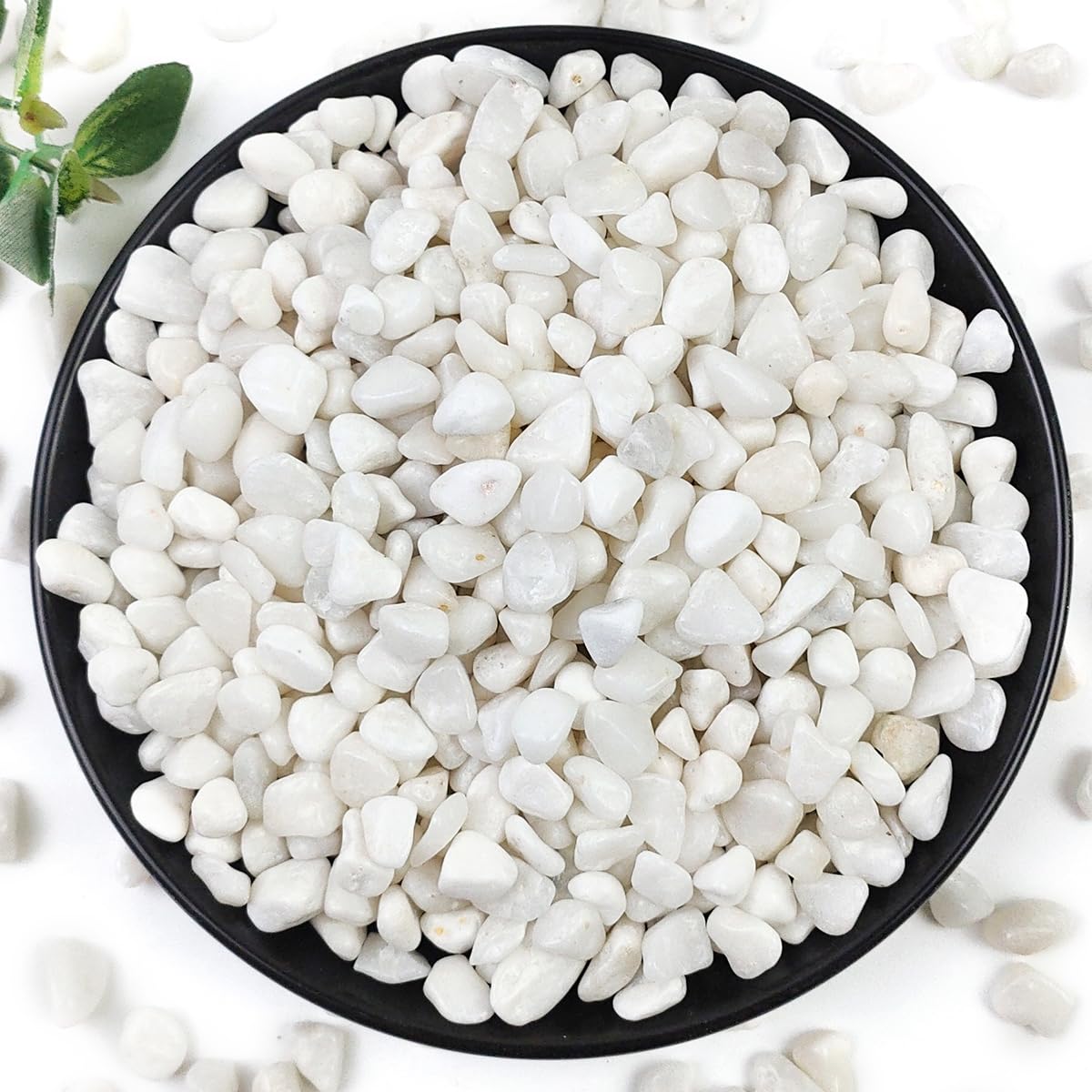 YISZM 10LB Succulent and Cactus Gravel Pebbles, 3/8 Inch White Stones