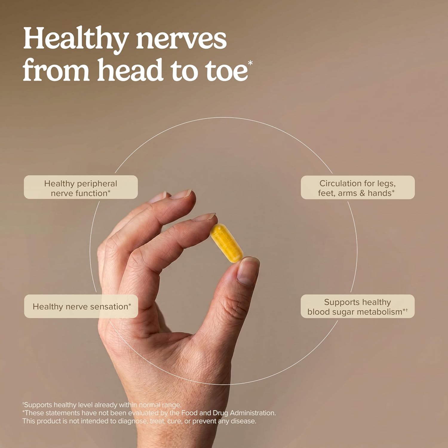 Terry Naturally Healthy Feet and Nerves - Nerve Function - 120 Count