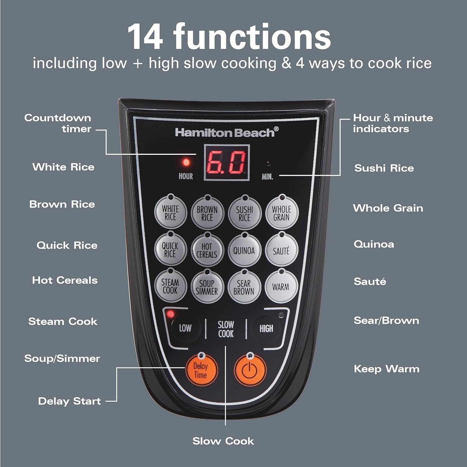 Hamilton Beach Digital Programmable Rice Cooker & Food Steamer