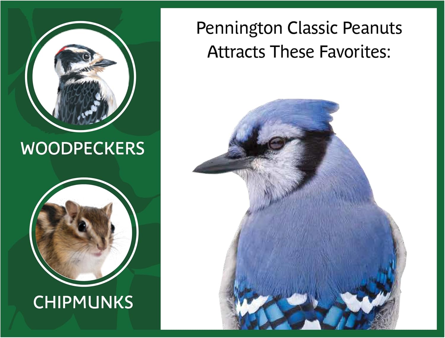 Pennington Classic in Shell Peanuts 5 pounds