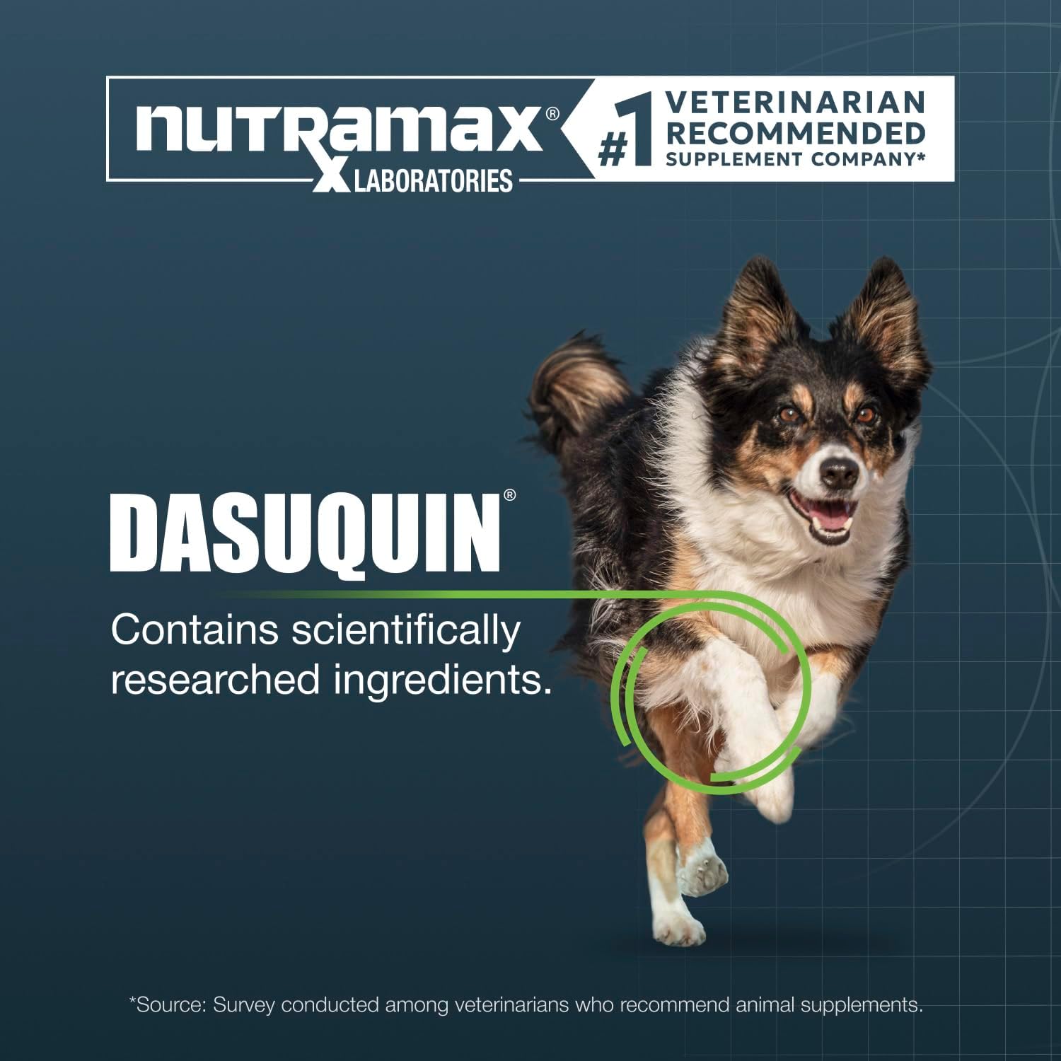 Nutramax Dasuquin MSM Joint Supplement for Large Dogs, Soft Chews, 150ct