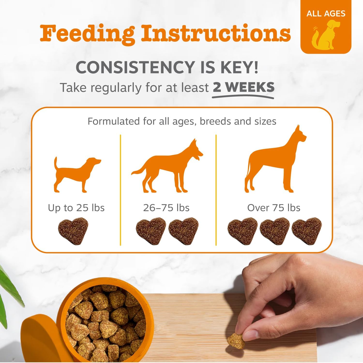 Zesty Paws Probiotics for Dogs - Gut Health for Dogs, Pumpkin, 90 Ct