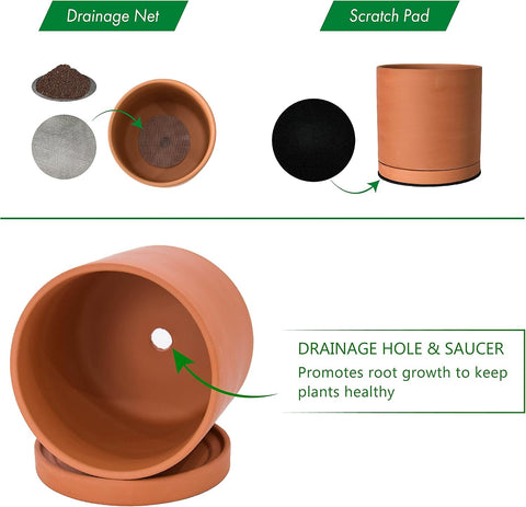 D'vine Dev Terracotta Plant Pot with Saucer, 6 Inch, 40-X-A-3
